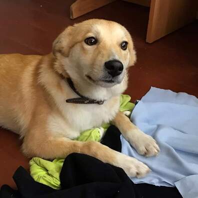 fb_img_1576163260038.jpg fb_img_1576163260038.jpg