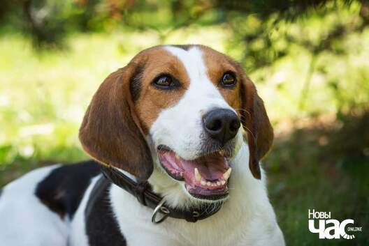 fb_img_1576530777868_logo.jpg fb_img_1576530777868_logo.jpg