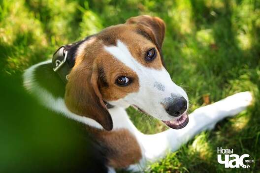 fb_img_1576530781207_logo.jpg fb_img_1576530781207_logo.jpg