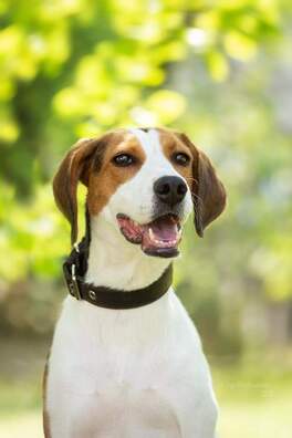 fb_img_1576530793355_logo.jpg fb_img_1576530793355_logo.jpg