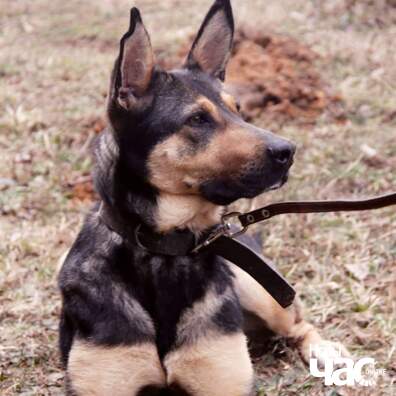 fb_img_1582920180439_logo.jpg fb_img_1582920180439_logo.jpg