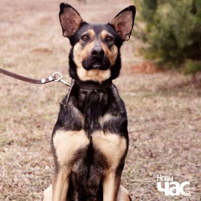 fb_img_1582920186816_logo.jpg fb_img_1582920186816_logo.jpg