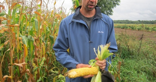 Арганічнае земляробства: вяртанне ў сярэднія вякі ці крок у будучыню?