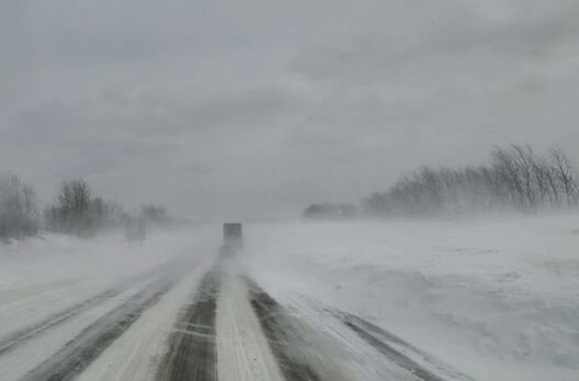 Фота pixabay.com Фота pixabay.com