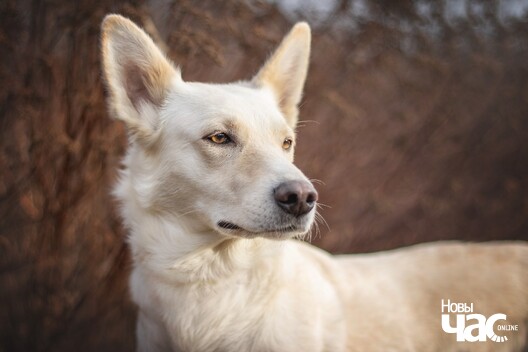 flukbn3npay_logo.jpg flukbn3npay_logo.jpg