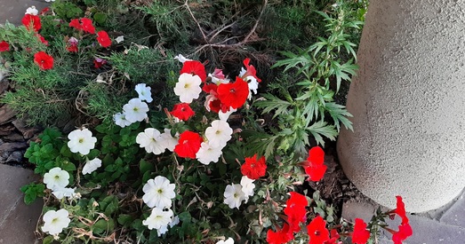 Ці будзе вывад беларускага маўлення ў Google Translate? Гэта залежыць ад нас