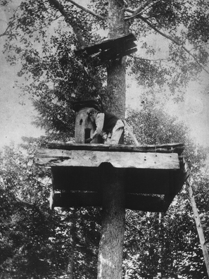 foto_iz_arhiva_veha__ljudi_lesa__02.jpg foto_iz_arhiva_veha__ljudi_lesa__02.jpg