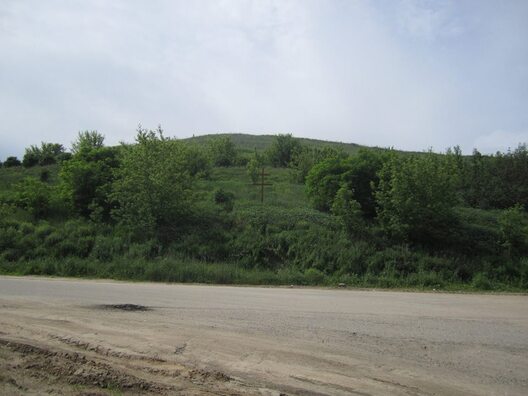 3/3 10325401_705076136231607_6560610808125380150_n.jpg