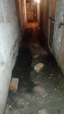 3/3 img_20151020_092133.jpg