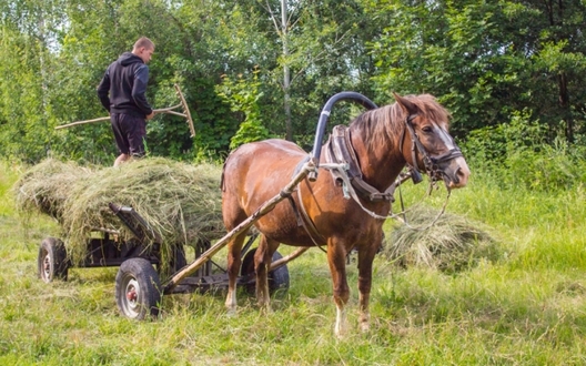 4/13 img_2245_601x376_logo.jpg