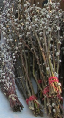 4/4 img_2441_3_logo.jpg