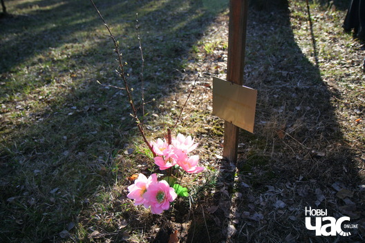 4/16 img_2836_logo.jpg