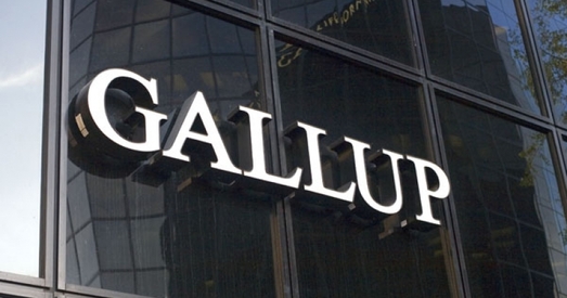 Апытанне Gallup: беларусы не лічаць сваю краіну аплотам стабільнасці і бяспекі