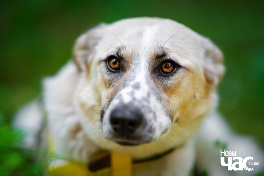 5/10 gkacwbp9opu_logo.jpg