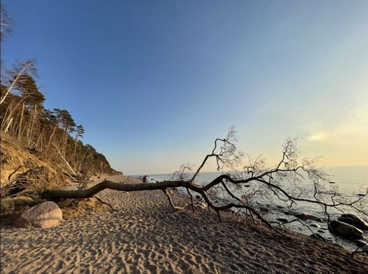 3/3 halandski_kalpak__klajpeda._fota__delfi_1.jpg