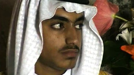 hamza.jpg hamza.jpg