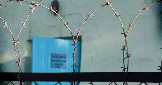 Рэпрэсіі ў Беларусі: Хто з замежнікаў трапіў