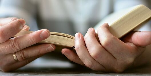 Фота pixabay Фота pixabay