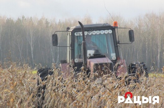 img_0651.jpg img_0651.jpg