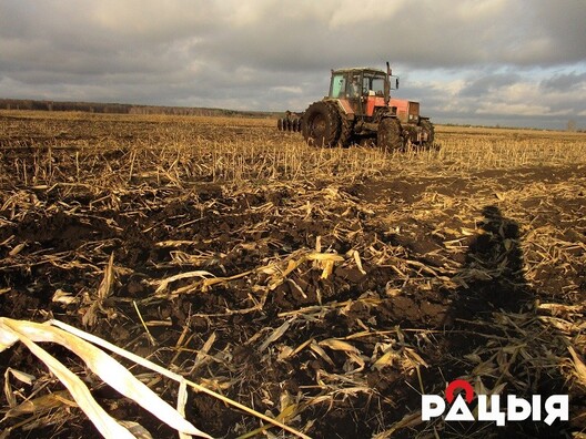 img_0653.jpg img_0653.jpg