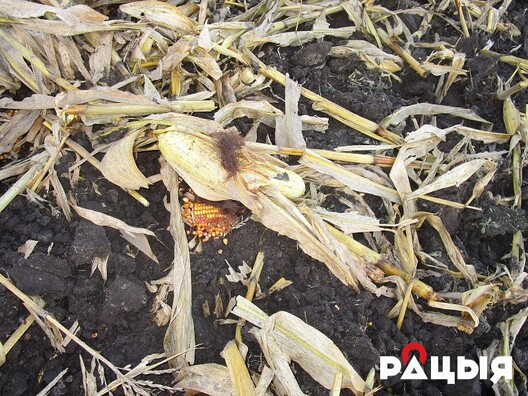 img_0676.jpg img_0676.jpg