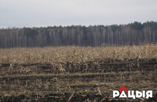 img_0688.jpg img_0688.jpg