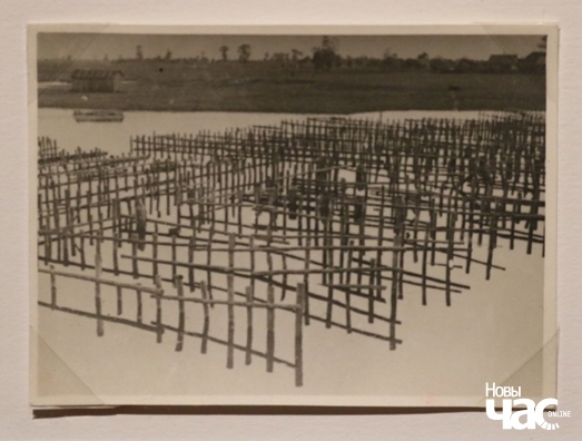 Мачэнне агуркоў перад закваскай. Ваколіцы Брэста-над-Бугам. 1930 г. Мачэнне агуркоў перад закваскай. Ваколіцы Брэста-над-Бугам. 1930 г.