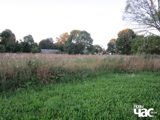 img_0958_logo.jpg img_0958_logo.jpg