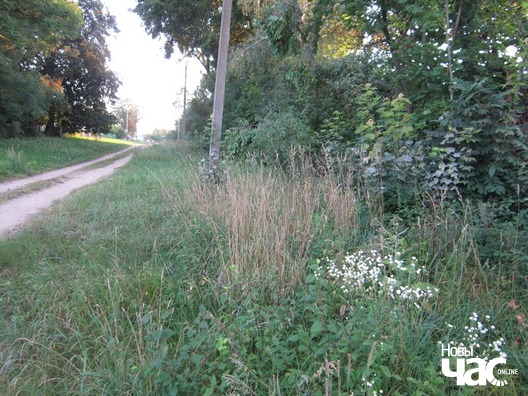 img_0977_logo.jpg img_0977_logo.jpg