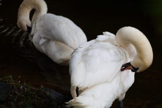 img_1350_660x440.jpg img_1350_660x440.jpg