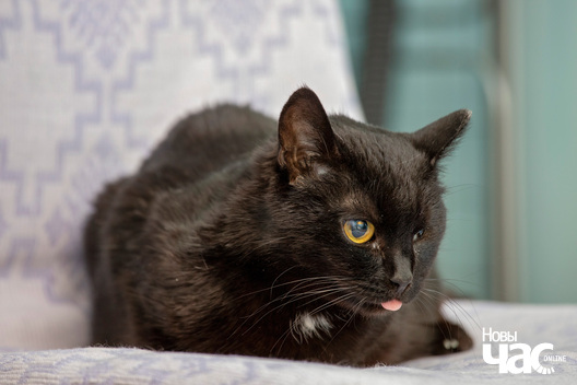 10/11 img_1652_logo.jpg