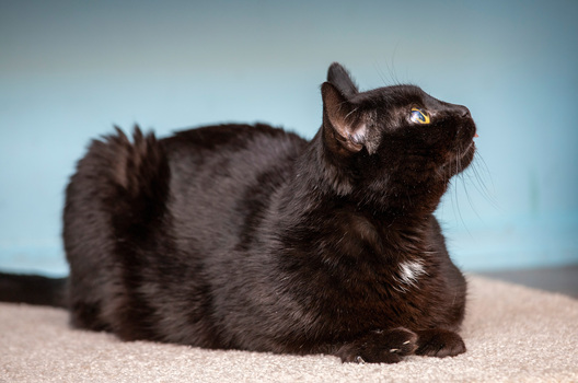 6/11 img_1670_logo.jpg