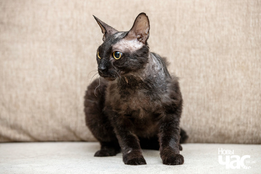 6/8 img_1999_logo.jpg