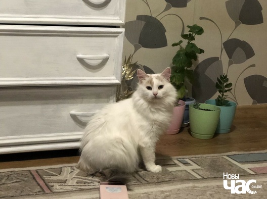 img_20191211_181447_logo.jpg img_20191211_181447_logo.jpg