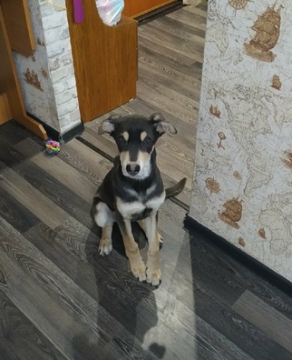 img_20191229_163843_logo.jpg img_20191229_163843_logo.jpg