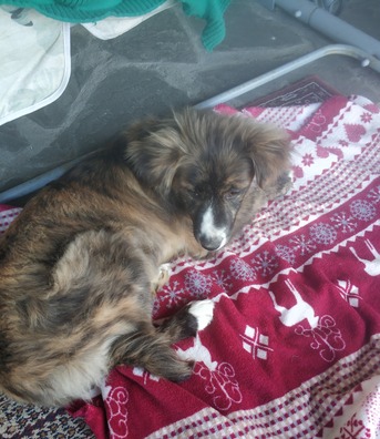 img_20200514_192130_1_logo.jpg img_20200514_192130_1_logo.jpg