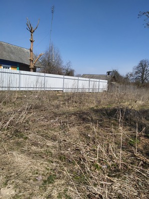 img_20210412_142803__1___1__logo.jpg img_20210412_142803__1___1__logo.jpg