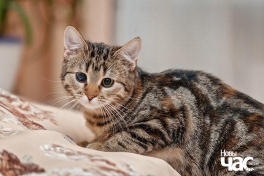 img_3936_logo.jpg img_3936_logo.jpg