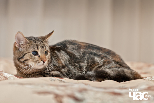 img_3938_logo.jpg img_3938_logo.jpg