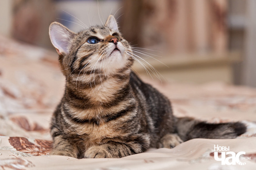 img_3944_logo.jpg img_3944_logo.jpg