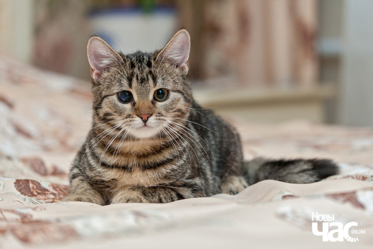 img_3946_logo.jpg img_3946_logo.jpg