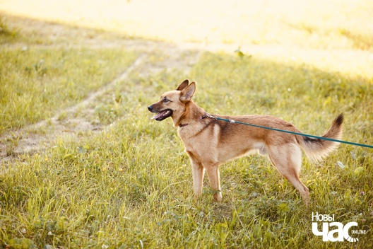 img_5083_1_logo.jpg img_5083_1_logo.jpg