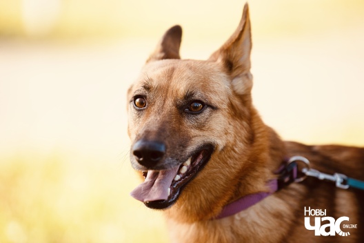 img_5084_logo.jpg img_5084_logo.jpg