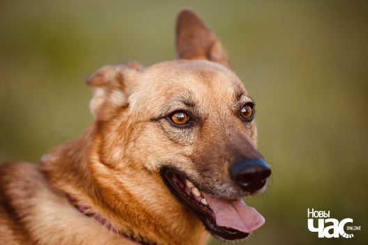 img_5085_logo.jpg img_5085_logo.jpg