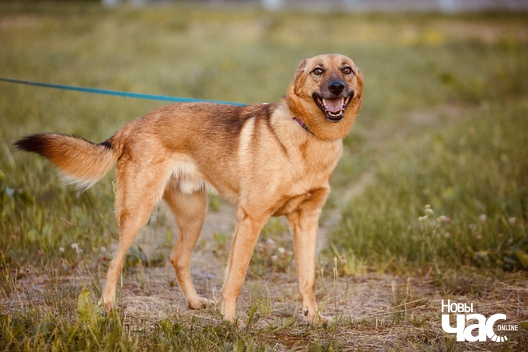 img_5086_1__logo.jpg img_5086_1__logo.jpg