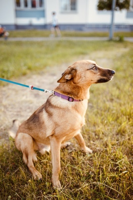 2/2 img_5090_logo.jpg