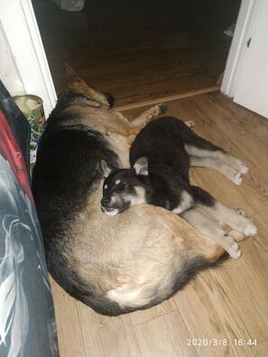 img_517b8d7e9dd2be13ba6ea81164a3ab83_v_logo.jpg img_517b8d7e9dd2be13ba6ea81164a3ab83_v_logo.jpg