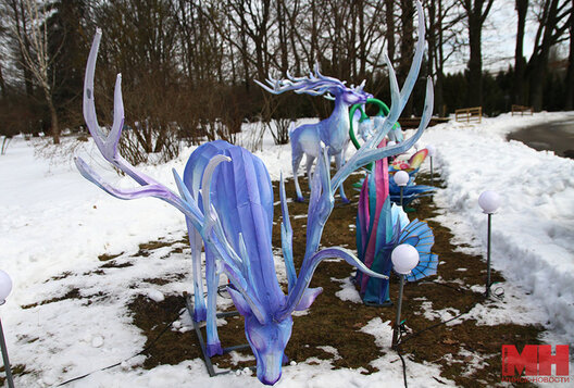 1/11 img_5542_kopiya_900x609.jpg