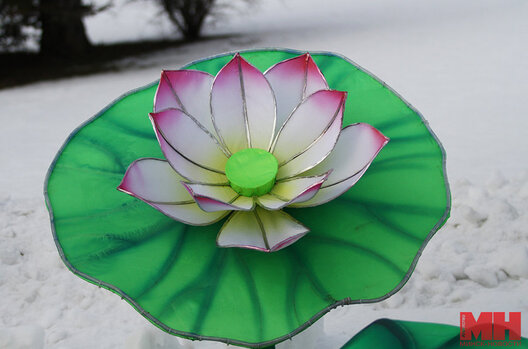 8/11 img_5675_kopiya_900x595.jpg