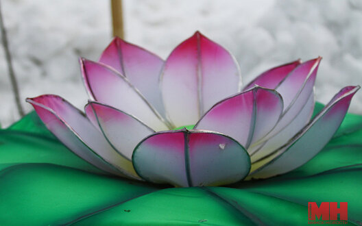 10/11 img_5682_kopiya_900x563.jpg